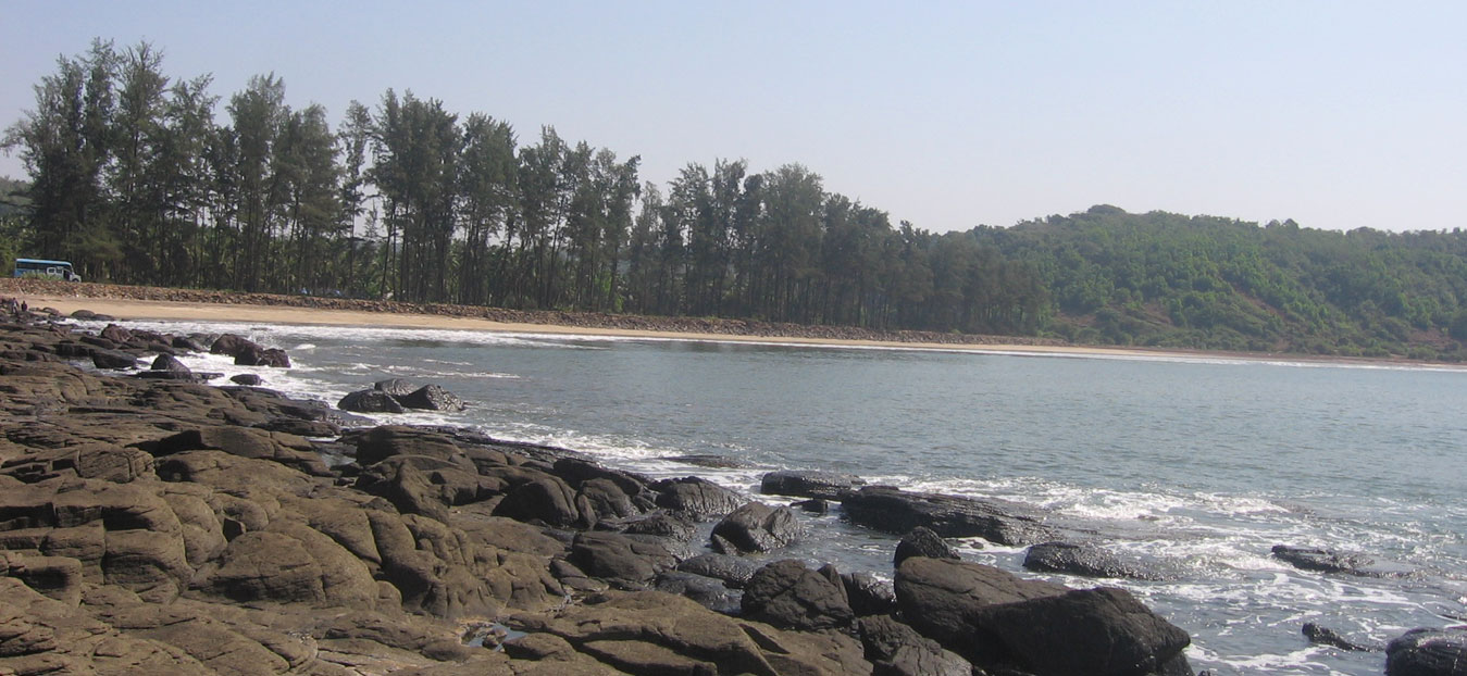 banner-image