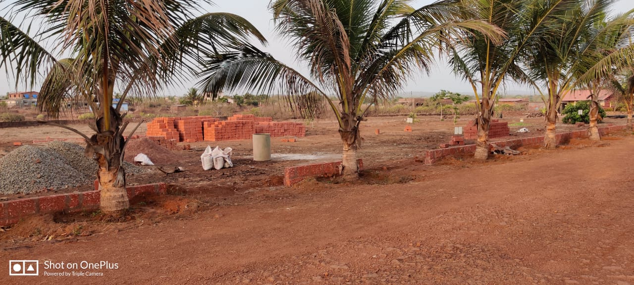 Hedvi Village